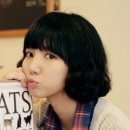 고양이 기숙사 이미지