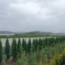 논일농장 이미지