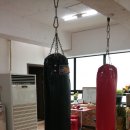 산본미래권투
