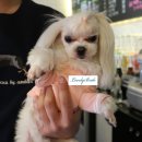 미스터토리