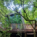 힐링(만인산) 이미지