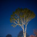 용산구청 이미지