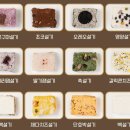 온설기 - 사상구 양지로8번길 45-15 | 온설기