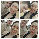 보령D&P