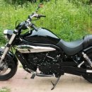 스타일 모터스 이미지