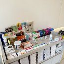 그린동물병원 | 앵무새(반려조) 동물병원 건강검진 나음동물병원 내돈내산 찐후기 추천