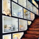 경기동물메디컬센터 이미지