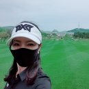 대식당(마에스트로) | 마에스트로cc 이국적인 분위기