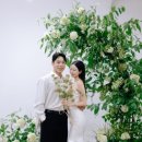 밀드플레 이미지