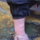 카필드 | 카페드아쿠아 스타필드하남 후기｜물고기 좋아하면 그냥 가세요