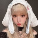 루나의 꿈 이미지