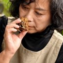 석순자농장 이미지