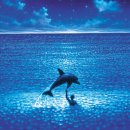 그랑블루 이미지