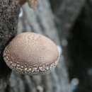 산에들에농장 이미지