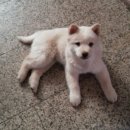 금호모텔 이미지