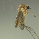 김지현농장 이미지