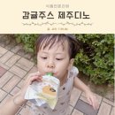 아빠과일엄마쥬스 | [추천] 과일 극혐하는 5세 아이, 액상과당 끊고 선택한 유기농 어린이간식 착즙주스 정착기