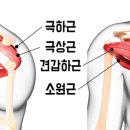 솔재활의학과의원 티스토리