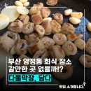 딱한잔 | [양정동 맛집] 퇴근 후 한잔하기 딱 좋은 다올막창 &amp; 담다 이자카야 후기