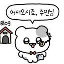 더블업컴퍼니