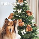 180 | 크리스마스 트리 추천, 매료 인형 리본트리 180cm 풀세트 후기