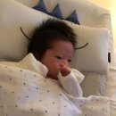 양미라 카카오 검색결과