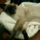 상봉2동 (1) 이미지