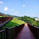 솔밭공원 농구장 네이버블로그