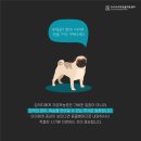 24시배곧스마트동물의료센터 이미지