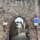5/11(월) 산티아고 순례길 프랑스길(Porte de France) 1구간( ~Roncesvalles) 이미지