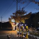 세븐일레븐 영천천문로점 이미지