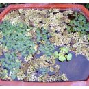 옛온천골 이미지