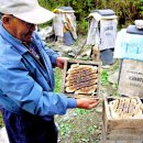 산성안 주차장 이미지