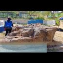 락코리아(주)