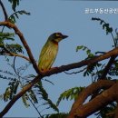 골드7공인중개사사무소 이미지