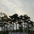 경기 수원 산책하기 좋은 일월 수목원 밤빛 정원 야간개장