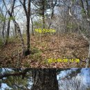 돌고개로 이미지