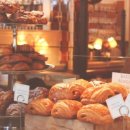 메인 행정사 사무소 이미지