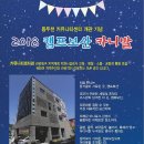 캠프보산카니발행사 이미지