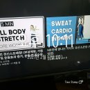핏유엘