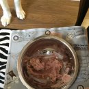 제이엘동물병원 이미지