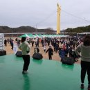 금강과일