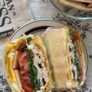 사파동131 이미지