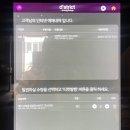 제주도 애월 ㅣ 실내관광지 미디어아트 전시 관람후기 - 아르떼뮤지엄제주