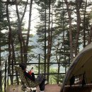 김삿갓면-19 | 영월 구름품은 캠핑장 2박3일 후기(명당 추천)