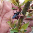 옥영농장 이미지