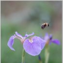 달맞이팬션 이미지