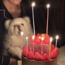 제주도 커플 여행 1일차(뚜벅이, 택시)/ 하리보해피월드, 송도옥, 용연구름다리, 용두암, 휴즐리, 동문...