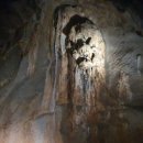 단양365할인마트 이미지