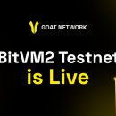 네트워크 이미지